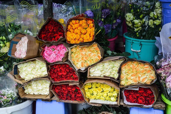 Saigon Historical City Tour - Who Will Love This Tour?