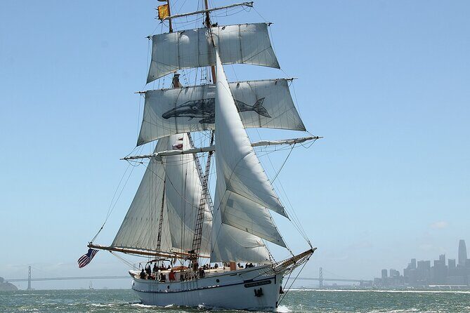Sail San Francisco Bay on the Historic Brigantine Matthew Turner - FAQ