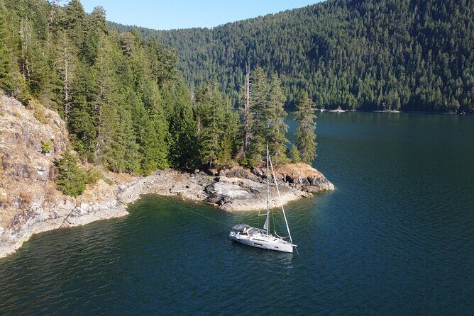 Sailing Charter around Vancouver Harbour Private Tour - Key Points