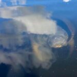 Saint Petersburg Paddle Board Tour - FAQ: Your Questions About the Saint Petersburg Paddle Board Tour