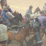 Samarkand: Uloq-Kopkari (Buzkashi) Game Day Tour - Who Will Enjoy This Tour?