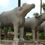 Same Day Ranakpur Trip From Jodhpur - A Deep Dive into the Jodhpur to Ranakpur Experience