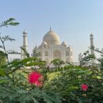 Same Day Tajmahal at Sunrise and SOS wildlife sanctuary tour - Analyzing the Experience: Value and Practicality