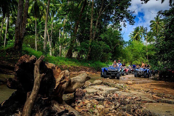 Samui ATV Quad Bike 1 Hour Tour - Riding Through the Rainforest and Hills