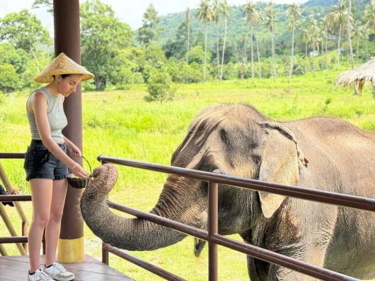 Samui: Elephant Home Sanctuary and the first elephant museum - Why This Tour Offers Great Value