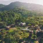 Samui Elephant Kingdom Ethical Sanctuary and Skywalk Tour - Why This Tour Offers Great Value