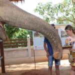 Samui: Feeding Program at the Elephant Home Nursery - Why This Tour Is Worth It