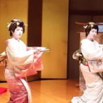 Samurai Fencing Geisha Dance and Mito Kairakuen Garden - Final Thoughts