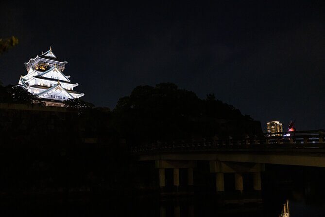 Samurai-specific Osaka Castle Guides Private tours in armor Photo - Who Should Consider This Tour?