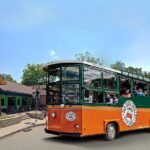 San Antonio Hop-On Hop-Off Trolley Tour - A Detailed Look at the Tour Experience