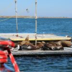 San Diego Private Morning Sail up to 12 guests - Frequently Asked Questions