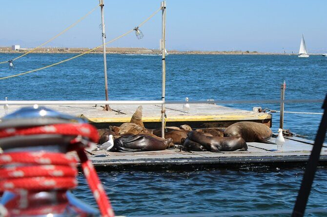 San Diego Private Morning Sail up to 12 guests - Frequently Asked Questions