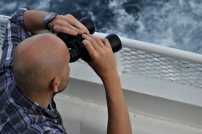 San Diego Sunset Cruise from Mission Bay - The Bottom Line: Is It Worth It?