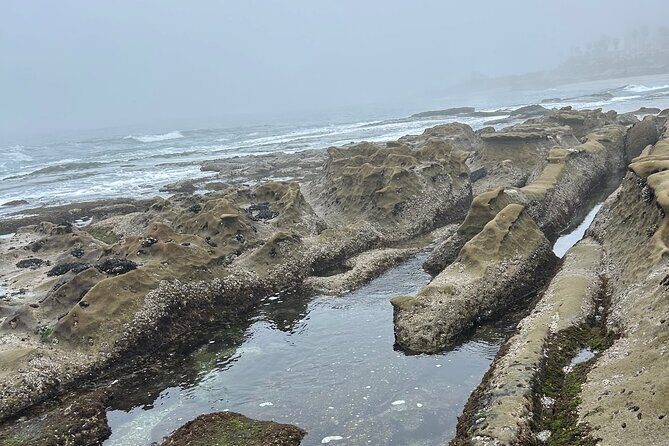 San Diego Tide Pool Tour - Final Thoughts
