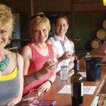 San Diego to Temecula: Wine Country Tour & Historic Old Town - Pricing & Value