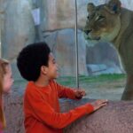 San Diego Zoo Safari Park 1-Day Pass: Any Day Ticket - Final Thoughts: Is It Worth It?