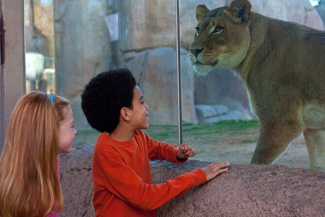 San Diego Zoo Safari Park 1-Day Pass: Any Day Ticket - Final Thoughts: Is It Worth It?