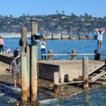 San Francisco Bay Cruise, Muir Woods and Sausalito Combo Tour - The Value of This Tour