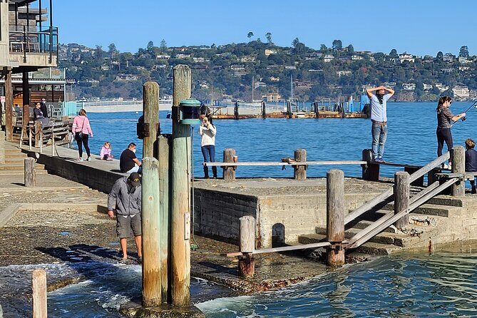 San Francisco Bay Cruise, Muir Woods and Sausalito Combo Tour - The Value of This Tour