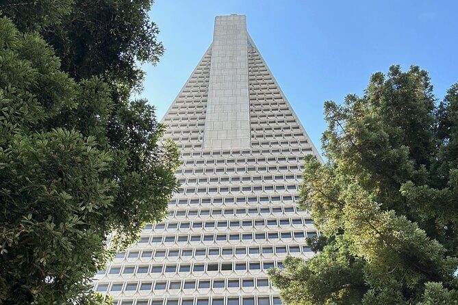 San Francisco City Tour in a Mercedes Sprinter Van - Practical Aspects and Value Analysis