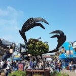 San Francisco Fisherman's Wharf Private 1-Hour Walking Tour - Who Is This Tour For?