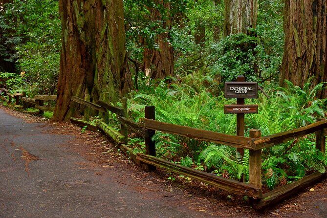 San Francisco, Golden Gate, Sausalito and Muir Woods Private Tour - A Detailed Look at the San Francisco Private Tour