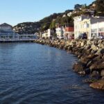 San Francisco: Guided Tour of Coastal Redwoods & Wine Country - A Deep Dive into the Experience