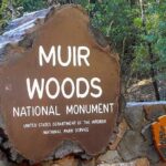 San Francisco & Muir Woods Full Day Small Group Private Tour - Why This Tour Works Well