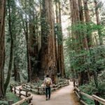 San Francisco, Muir Woods, Sausalito and optional Alcatraz tour - Who Will Benefit Most from This Tour?