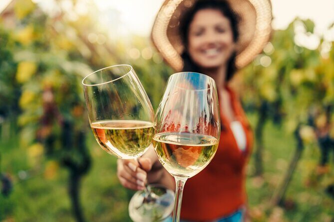 San Francisco: Napa & Sonoma Wine Tour & 24hr Hop-on Hop-off Tour - Who Will Love This Tour?