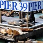 San Francisco Pier 39 Puzzling Adventure - What’s Included and Not Included