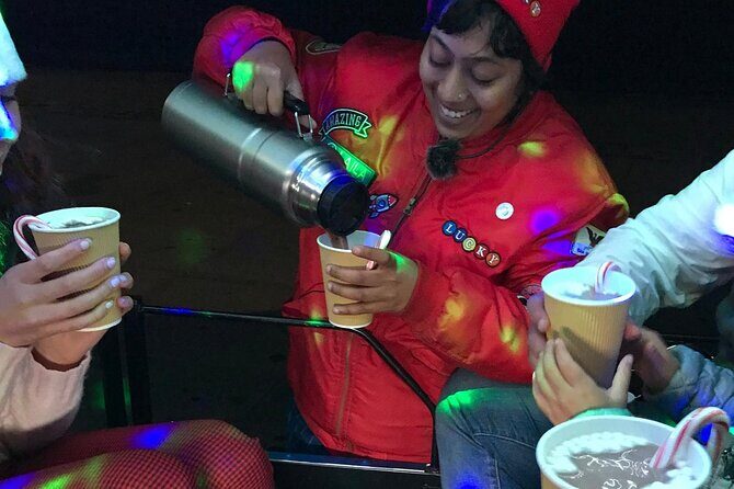 San Francisco Private Small Group Holiday Lights Tour - In-Depth Look at the Experience