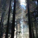 San Francisco Private Tour: Hidden Gems & Highlights by a Local - Who Will Love This Tour?