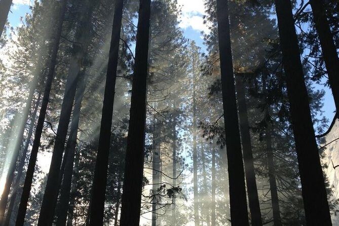 San Francisco Private Tour: Hidden Gems & Highlights by a Local - Who Will Love This Tour?