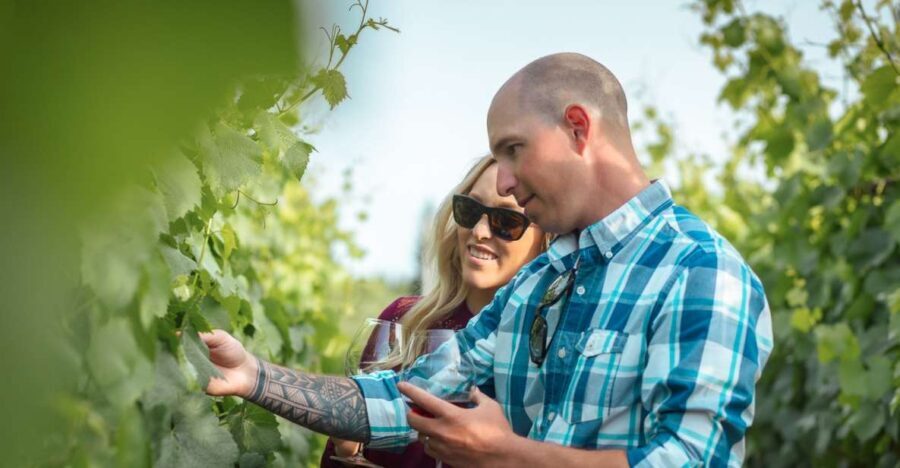 San Francisco: Sonoma Wine Country Tour with Tastings - Why This Tour Works Well