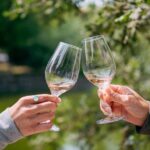 San Francisco Super Saver: Muir Woods & Wine Country w/ optional Gourmet Lunch - Who Should Book This Tour?