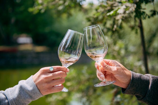 San Francisco Super Saver: Muir Woods & Wine Country w/ optional Gourmet Lunch - Who Should Book This Tour?