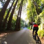 San Francisco to Muir Woods Cycling Tour - Cycling Through Marin County: Vistas, Wildlife, and Historic Sites