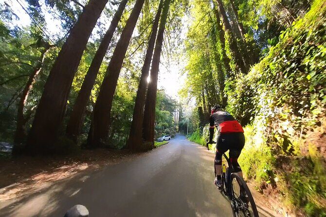 San Francisco to Muir Woods Cycling Tour - Cycling Through Marin County: Vistas, Wildlife, and Historic Sites