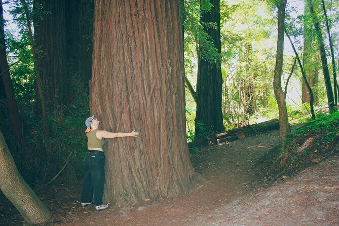 San Francisco to Santa Cruz Day Trip: Redwoods and Beach Fun - Who Should Consider This Tour?