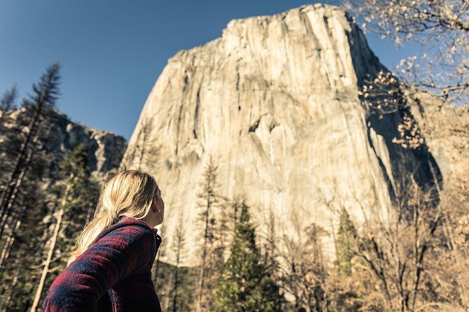San Francisco to Yosemite One-Way Transfer - Who Will Love This Tour?