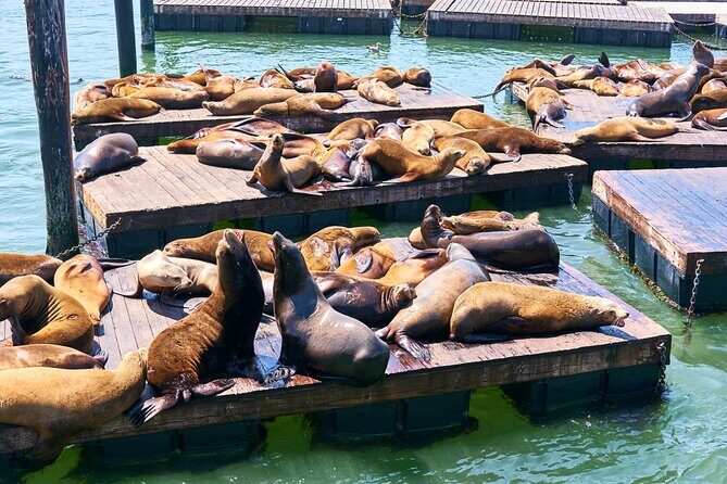 San Francisco Uncovered Self-Guided Adventure - Practical Tips and Final Thoughts