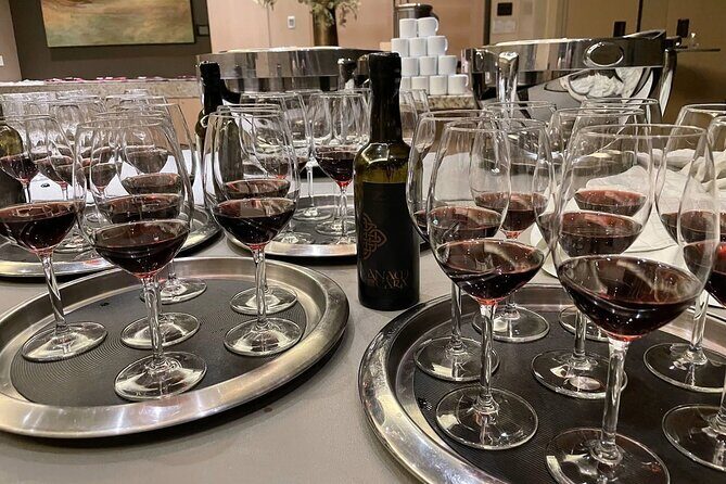 San Francisco Wine Country Tour in EV VW Van - Who Is This Tour Best For?