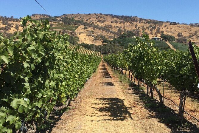 San Francisco Wine Tour with a Local Expert: 6 Tastings 100% Personalized - In-Depth Look at the San Francisco Wine Tour