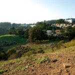 San Francisco's Glen Park and Glen Canyon: A Self-Guided Tour - FAQs
