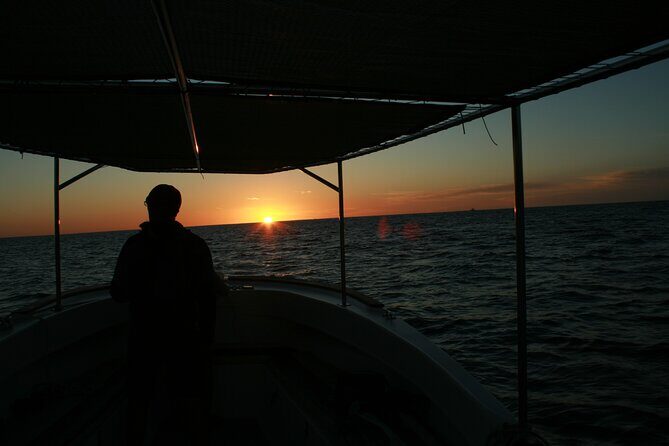 San Jose del Cabo Small-Group Sunrise Whale Watching - FAQ