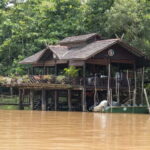 Sandakan: 3D2N The Wild Heart of Borneo River Secrets - An In-Depth Look at the 3D2N Borneo River Adventure