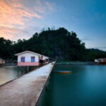 Sandakan : Fireflies and Mangrove Cruise with Dinner - Who This Tour Is Best For