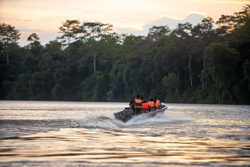 Sandakan: Kinabatangan River Wildlife Cruise with Lunch - What We Think: The Value and Authenticity