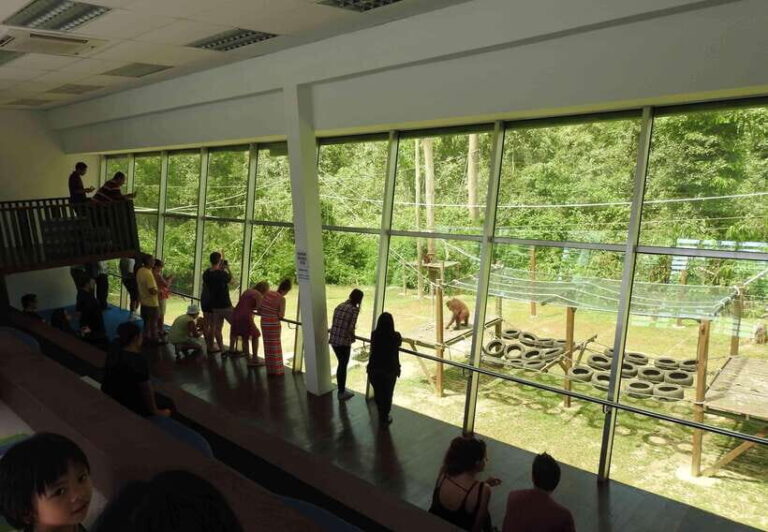 Sandakan: Orangutan Sanctuary Shared Day Trip Tour - Why This Tour Offers Great Value